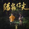 台派