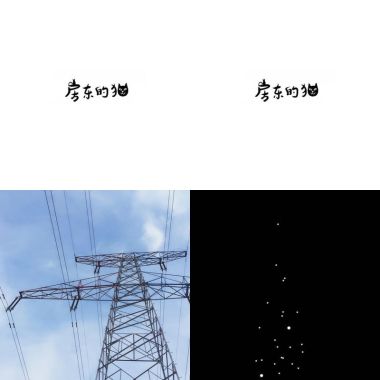房東的貓