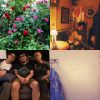 Like 