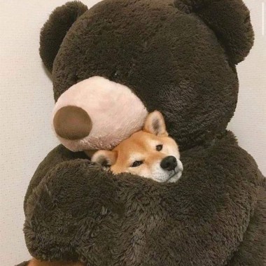 火腿腸