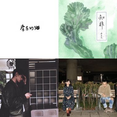 從魚仔開始