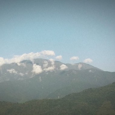 蜂蜜大吉嶺