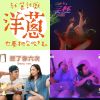 我的歌单