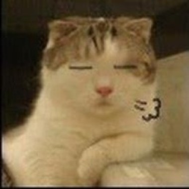 好歌