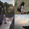 我的歌单 2