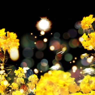 my Cn