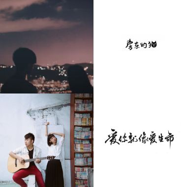總