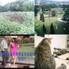 熱熱的