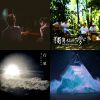 我的歌單  