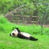 治愈
