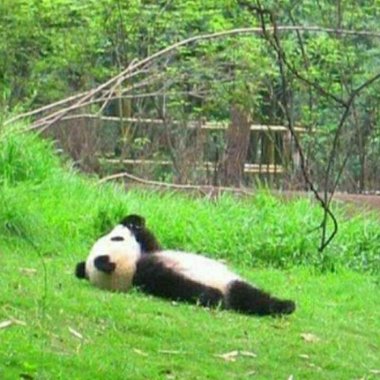 治愈