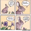 我很喜歡。