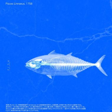 莫宰羊