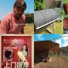 擋一根