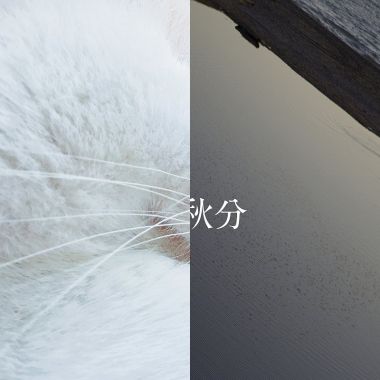 睡覺