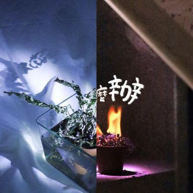 蕨鳴子
