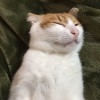晚安明天見