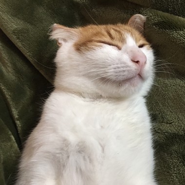 晚安明天見