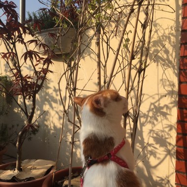 舒服的風