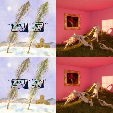 🪽