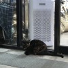 Wanna sleep