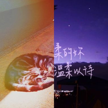 哈