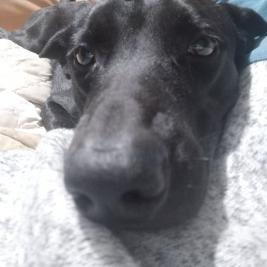 Lu