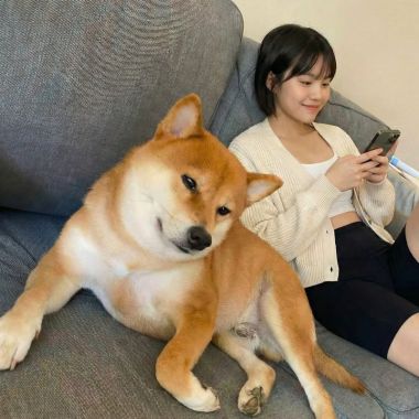 康玉蘭