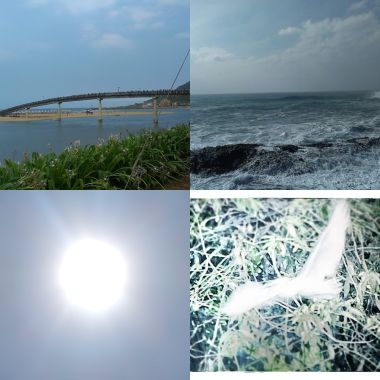 海洋