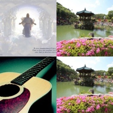 攝理╰(*´︶`*)╯♡