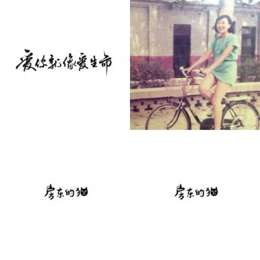 房東的貓