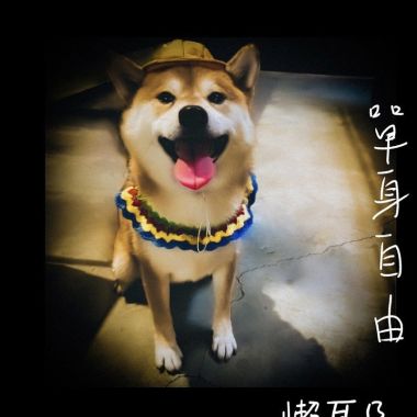青春