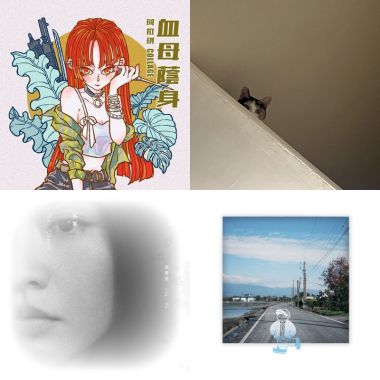 跟風仔