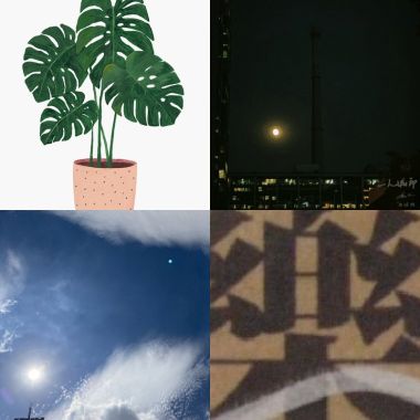 休