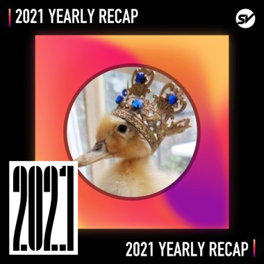2021 個人年度精選之最