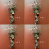 绽放&枯萎