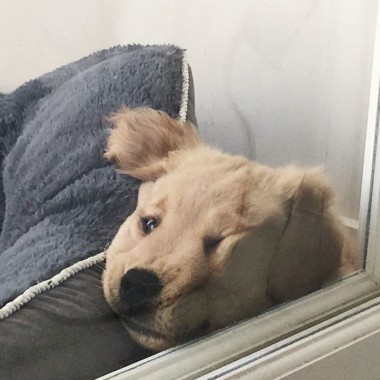?mood
