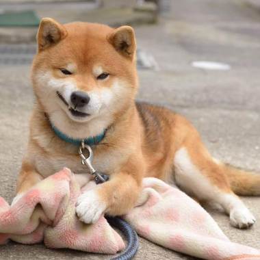 血球異常增生中