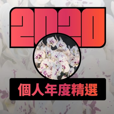 2020 專屬年度回顧 | StreetVoice 街聲