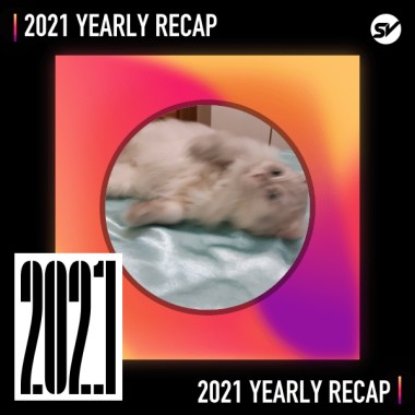 2021 個人年度精選之最