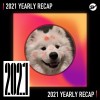 2021 個人年度精選之最