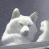 煙燻舒服chill聲音?