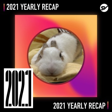 2021 個人年度精選之最