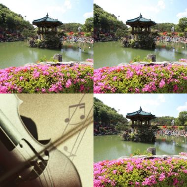 主的聲音