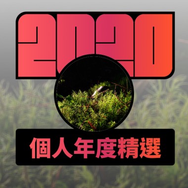 2020 專屬年度回顧 | StreetVoice 街聲