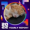2022 個人年度精選