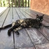 眼淚掉下來