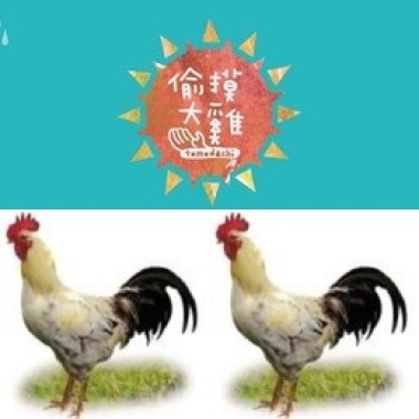 偷摸大雞