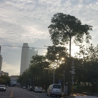 大麻