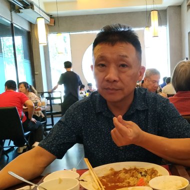 我的歌單